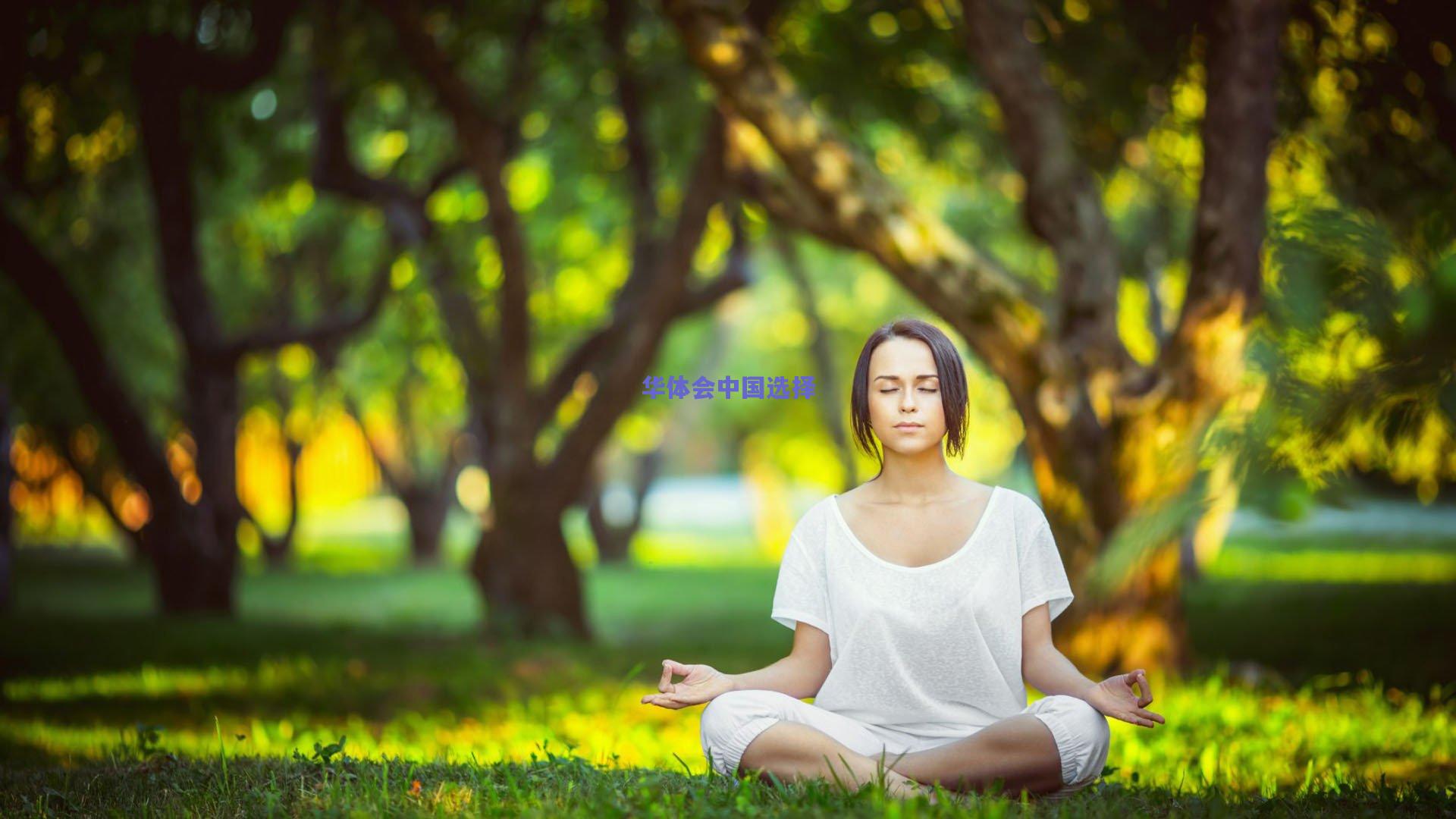 点球大战惊心动魄，蓝鹰队险胜红狮队晋级决赛