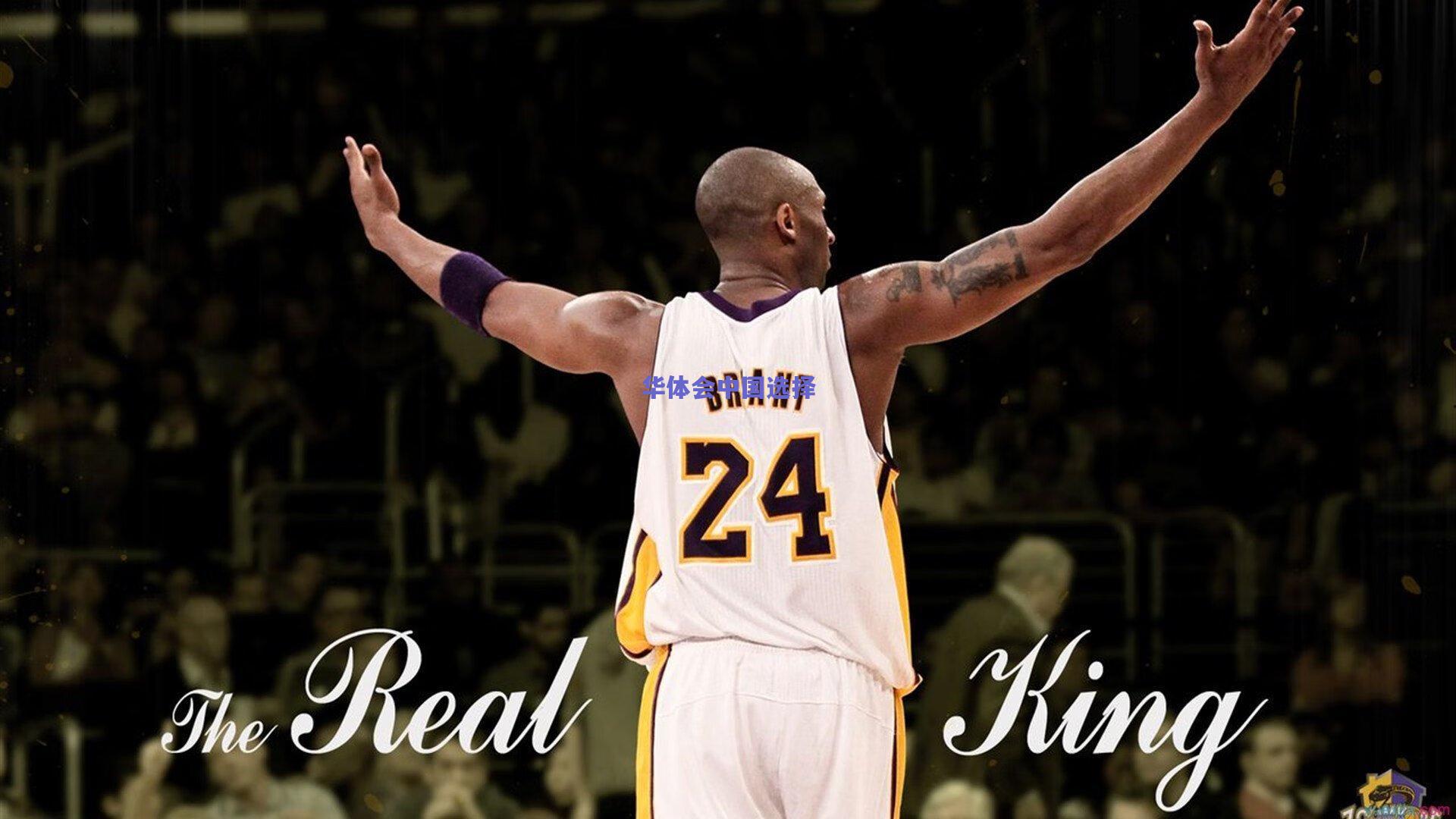 辽西两战诠释篮球魅力 双杀山西背后是意志与战术的淬炼